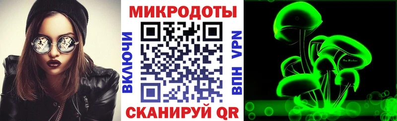 Галлюциногенные грибы Psilocybine cubensis  Купить  Пущино 